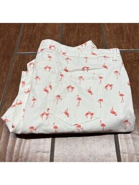 Charter Club Women’s Bristol Skinny Ankle High Rise Pink Flamingo Jeans Sz 14